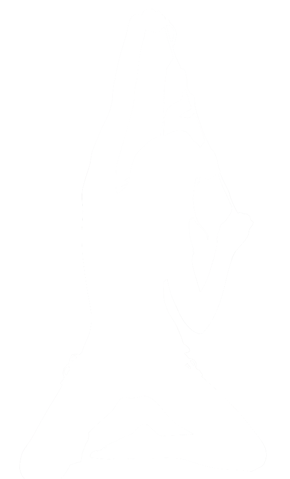 Silhouette 6